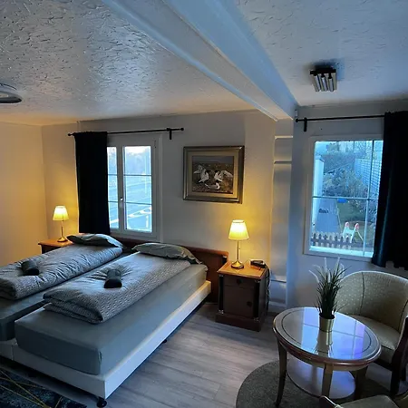 - View - For 6 Guests Thun